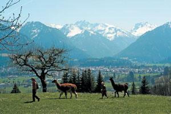 Ferienwohnung Oberstdorf - Haus Falkenhorst Whg.-Nr. 12 (172), Oberstdorf, Allgäu (Bayern), Bayern, Deutschland, Bild 17