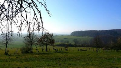 Ferienwohnung Reitz - Urlaub mit meinecard plus in der Heimat der Brüder Grimm (358), Fritzlar, Nordhessen, Hessen, Deutschland, Bild 10