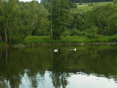 Ferienwohnung Reitz - Urlaub mit meinecard plus in der Heimat der Brüder Grimm (358), Fritzlar, Nordhessen, Hessen, Deutschland, Bild 20