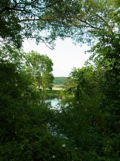 Ferienwohnung Reitz - Urlaub mit meinecard plus in der Heimat der Brüder Grimm (358), Fritzlar, Nordhessen, Hessen, Deutschland, Bild 23