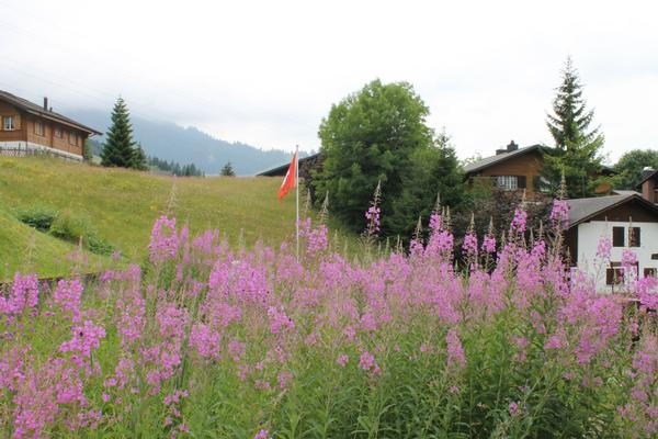 Ferienwohnung Bambi (1028905), Wirzweli, Nidwalden, Zentralschweiz, Schweiz, Bild 8