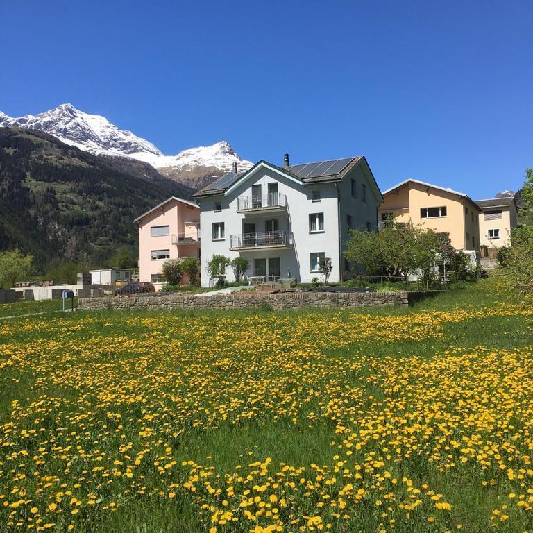 Schöne, sonnige 2.5-Zimmer Parterre-Ferienwoh Ferienwohnung in der Schweiz