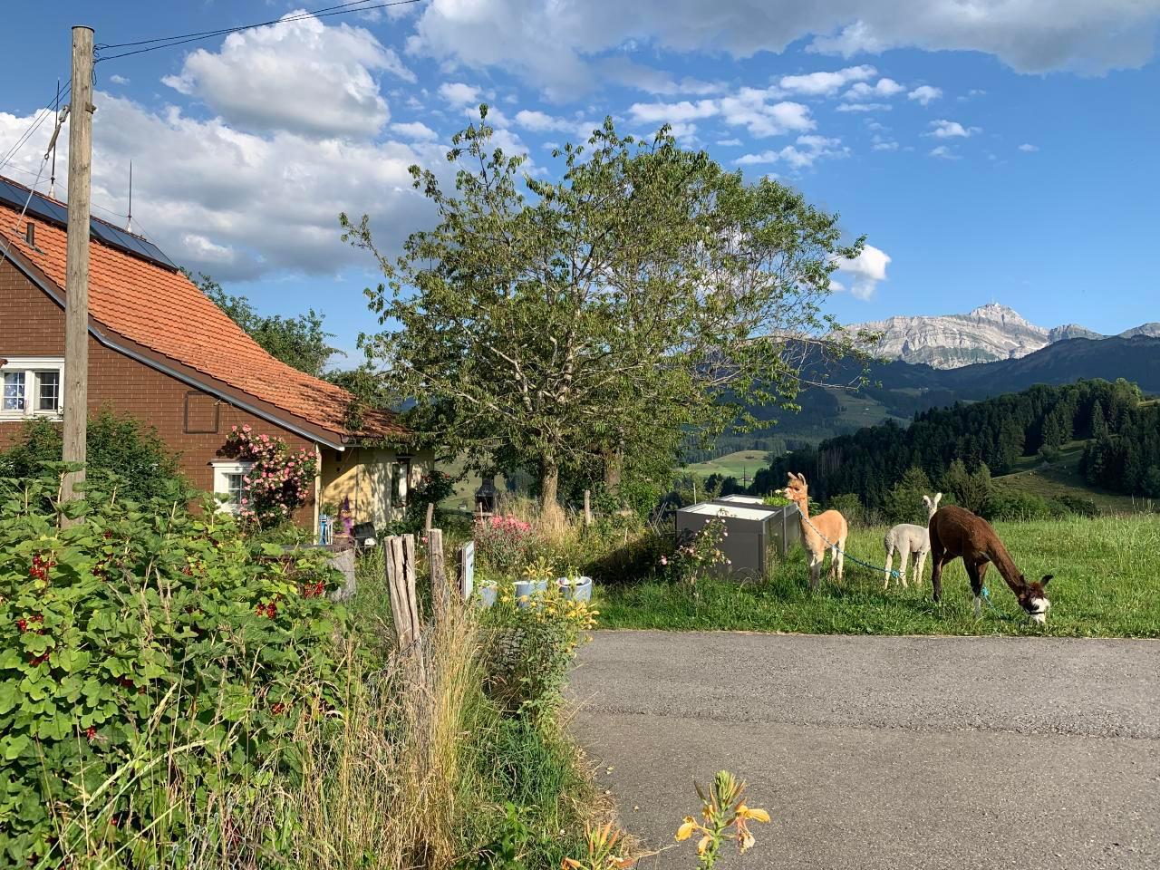 Ferienwohnung Tiererlebnishof Windegg Ferienwohnung in der Schweiz