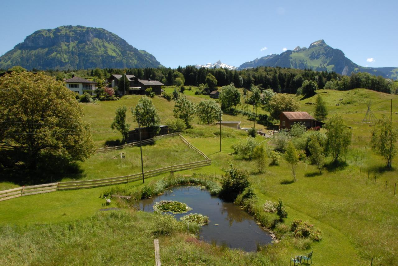 Natur und Kultur Oase in Seelisberg Ferienhaus in der Schweiz