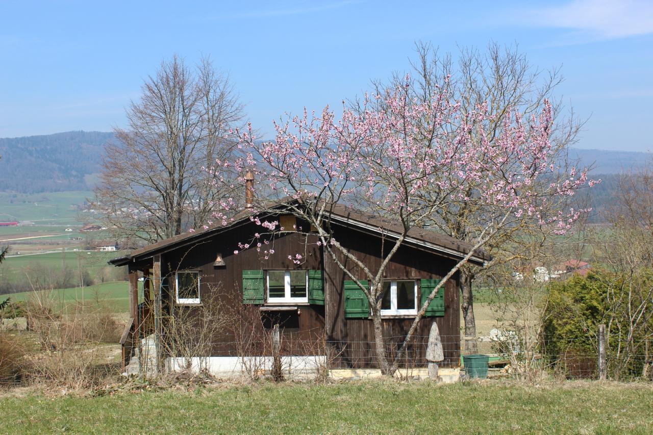 Chalet - Le Champ des Perches, (Berlincourt) Ferienhaus in der Schweiz