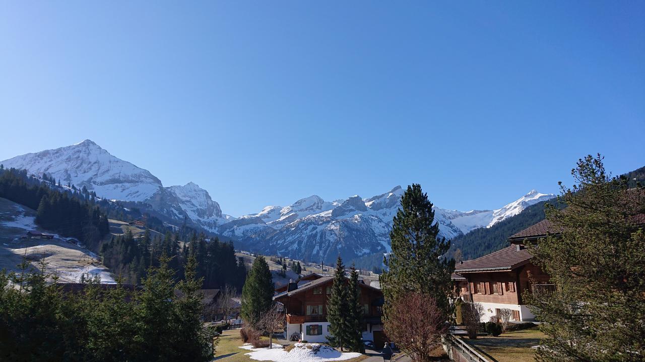 Chalet Wittebärg Ferienwohnung in der Schweiz