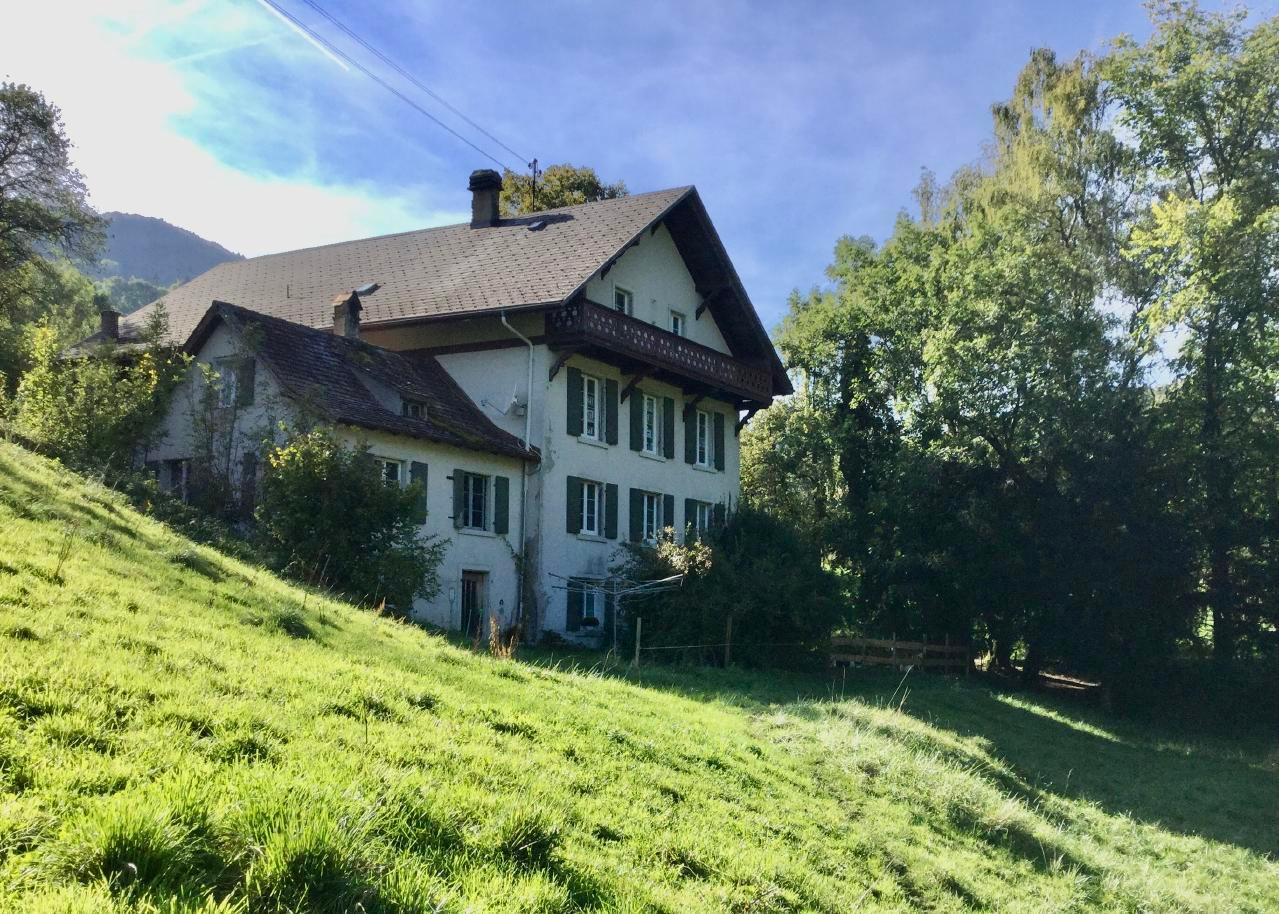 Ferienwohnung Hof unterer Dürrenberg / Langen Ferienwohnung in der Schweiz