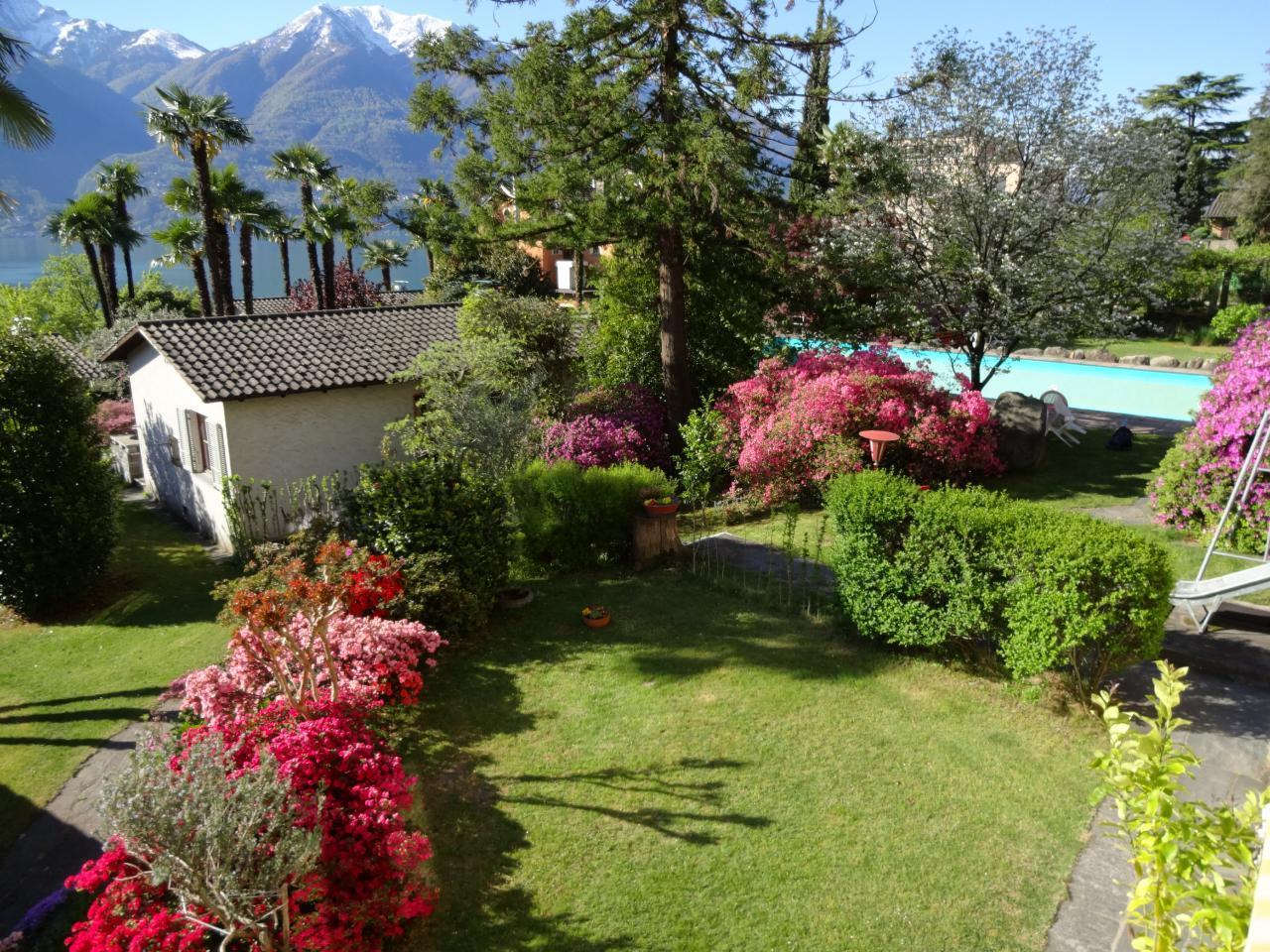 Eco-Casa Paradiso B, Schwimmbad, Garten und wunder Ferienhaus  Locarno Region