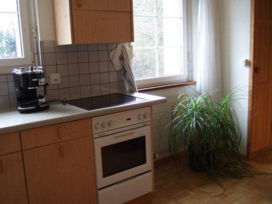 Ferienwohnung Parterrewohnung im Grünen (594295), Emmenmatt, Emmental, Schweizer Mittelland, Schweiz, Bild 4