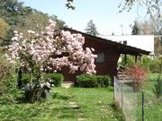 chalet-magnolia Ferienhaus  Genfer See