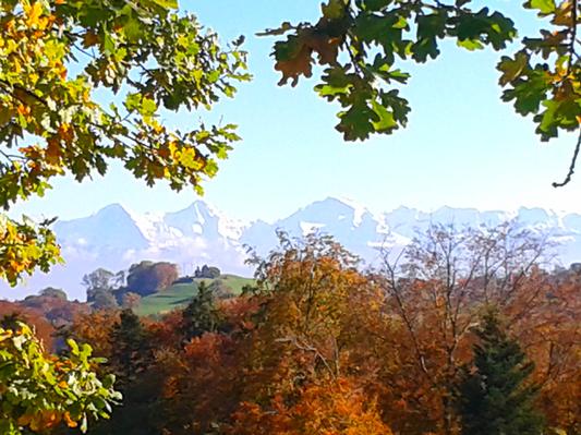 Ferienwohnung Gurtendörfli (862058), Wabern (CH), Bern und Umgebung, Schweizer Mittelland, Schweiz, Bild 7