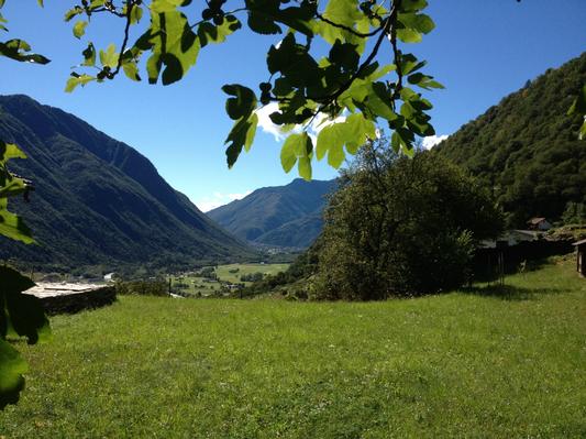 Ferienwohnung Rustico in Roveredo GR (867797), Roveredo GR, Misox - San Bernardino, Graubünden, Schweiz, Bild 5