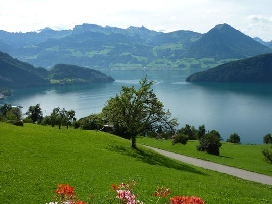 Ferienwohnung Oberwilen (959865), Vitznau, Weggis - Vitznau - Rigi, Zentralschweiz, Schweiz, Bild 3