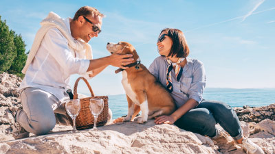 Urlaub mit Hund - Ferienhäuser und Ferienwohnungen für den Hundeurlaub